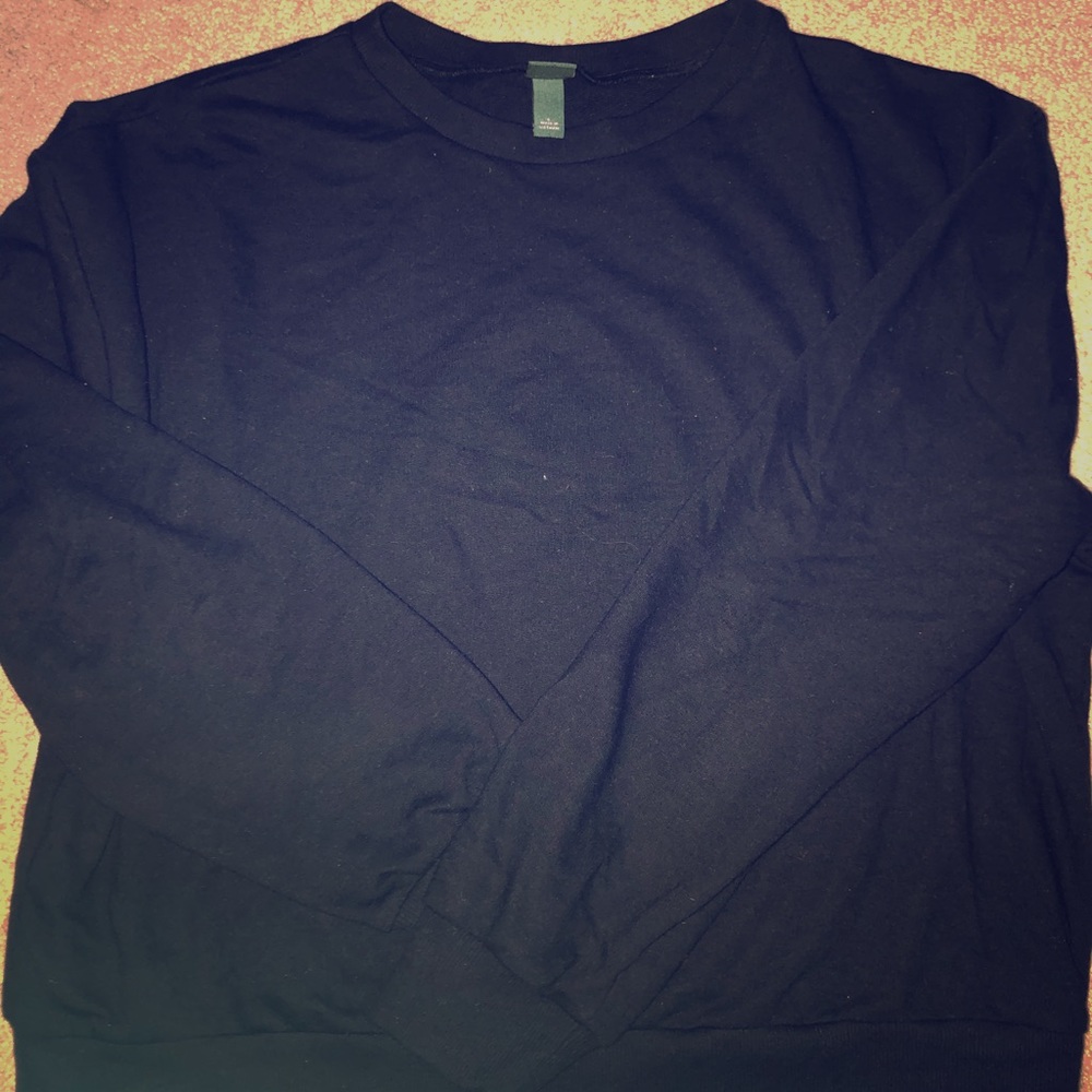 Wild Fable Crop Sweater